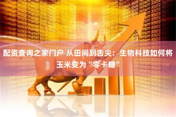 配资查询之家门户 从田间到舌尖：生物科技如何将玉米变为“零卡糖”